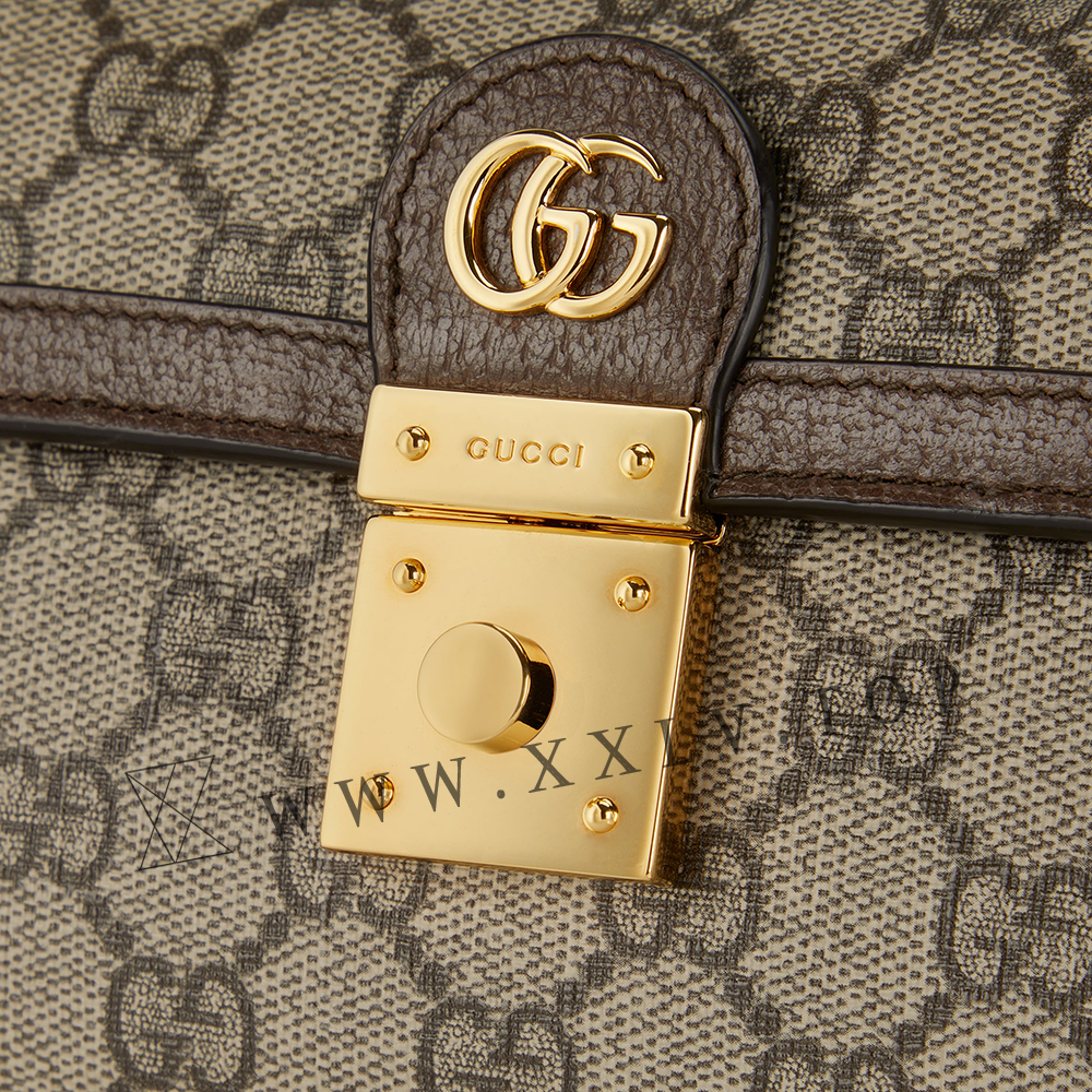 Ophidia mini bag - Image 2