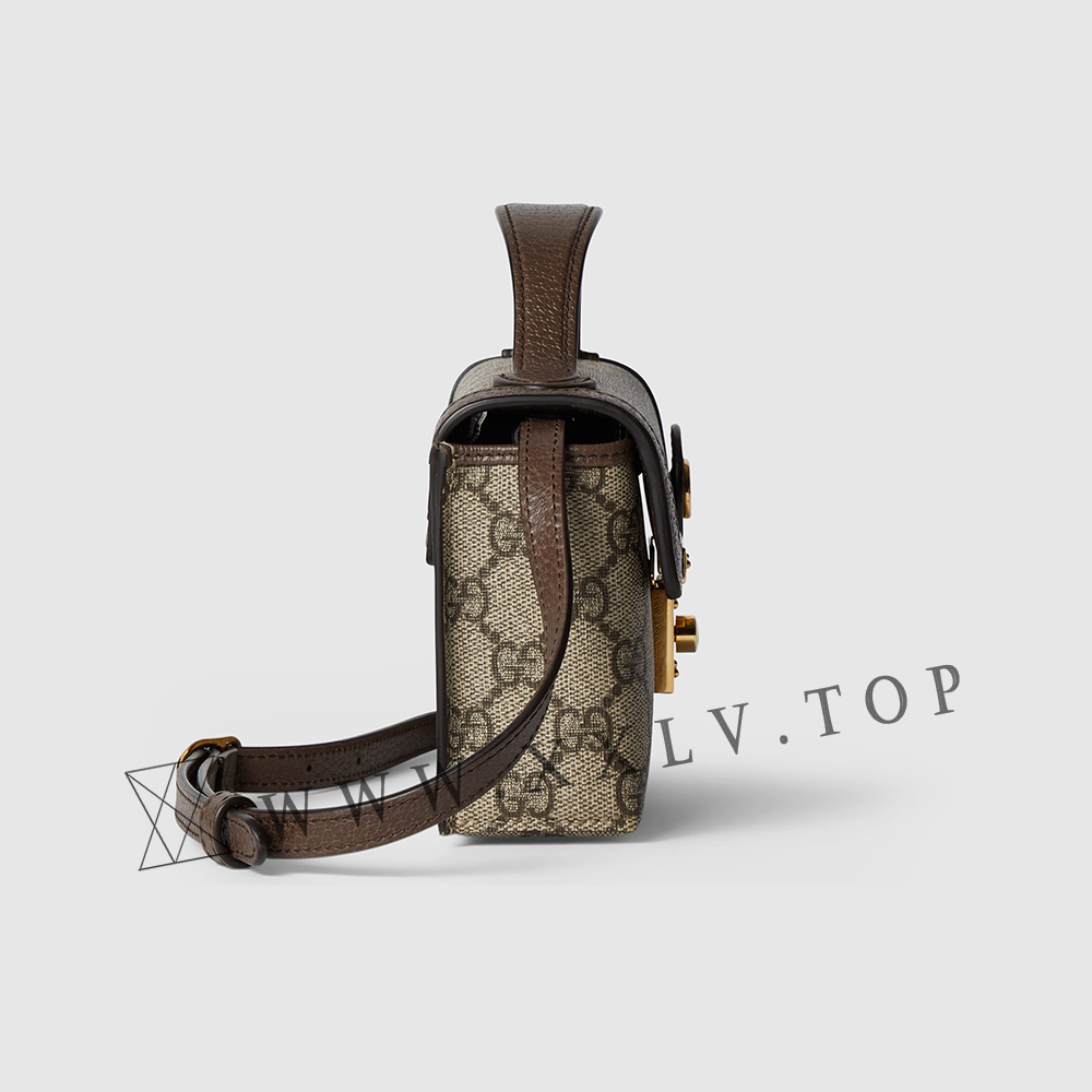 Ophidia mini bag - Image 4