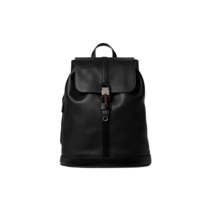 Large backpack with Web