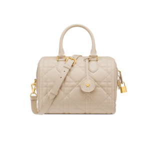 Dior Groove 25 Bag