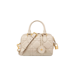 Dior Groove 20 Bag
