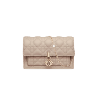 My Dior Daily Chain Pouch