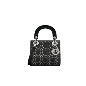 Mini Lady Dior Bag