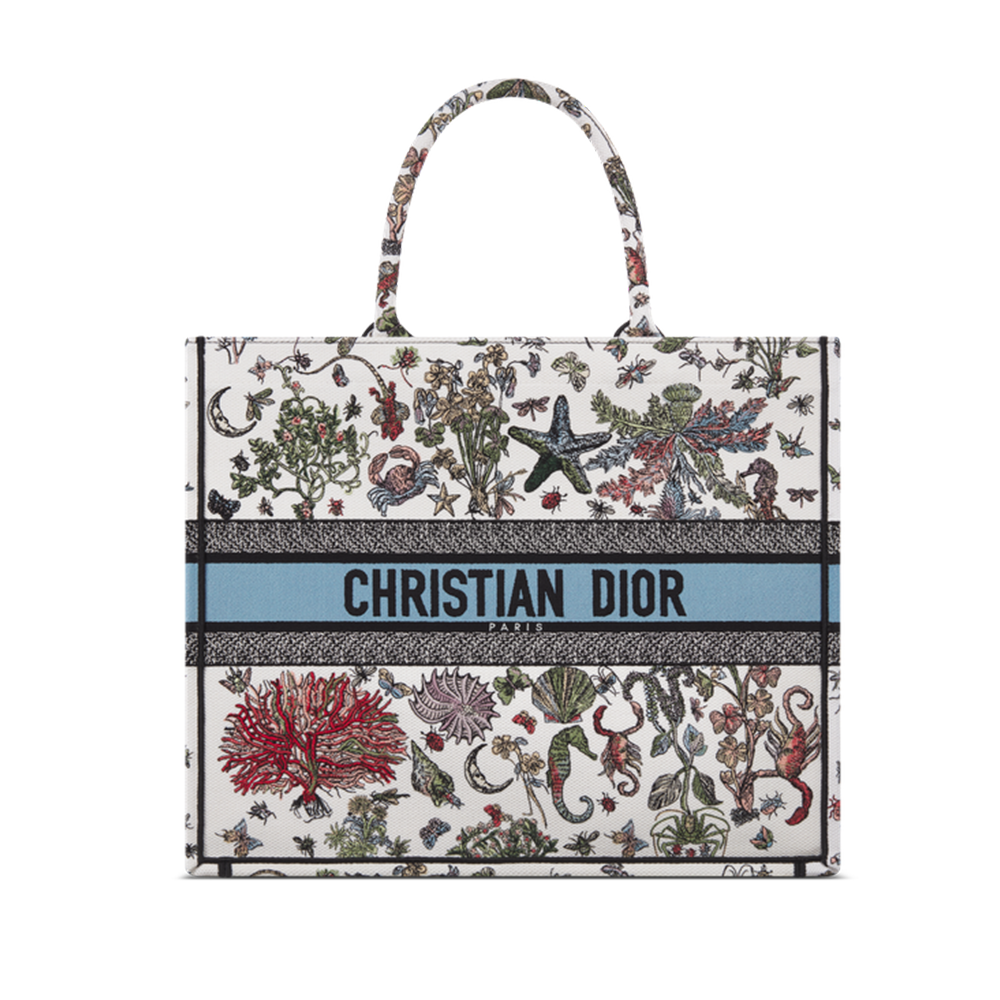 Large Dior Book Tote