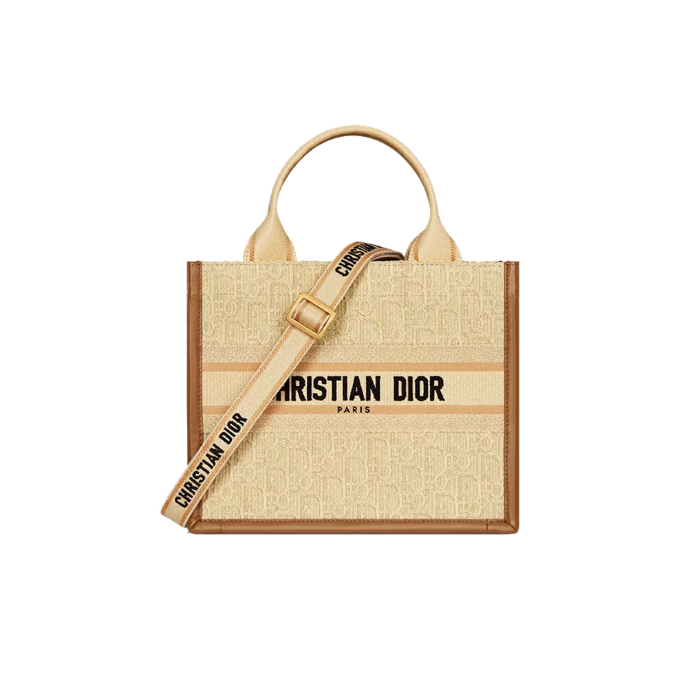 Small Dior Book Tote