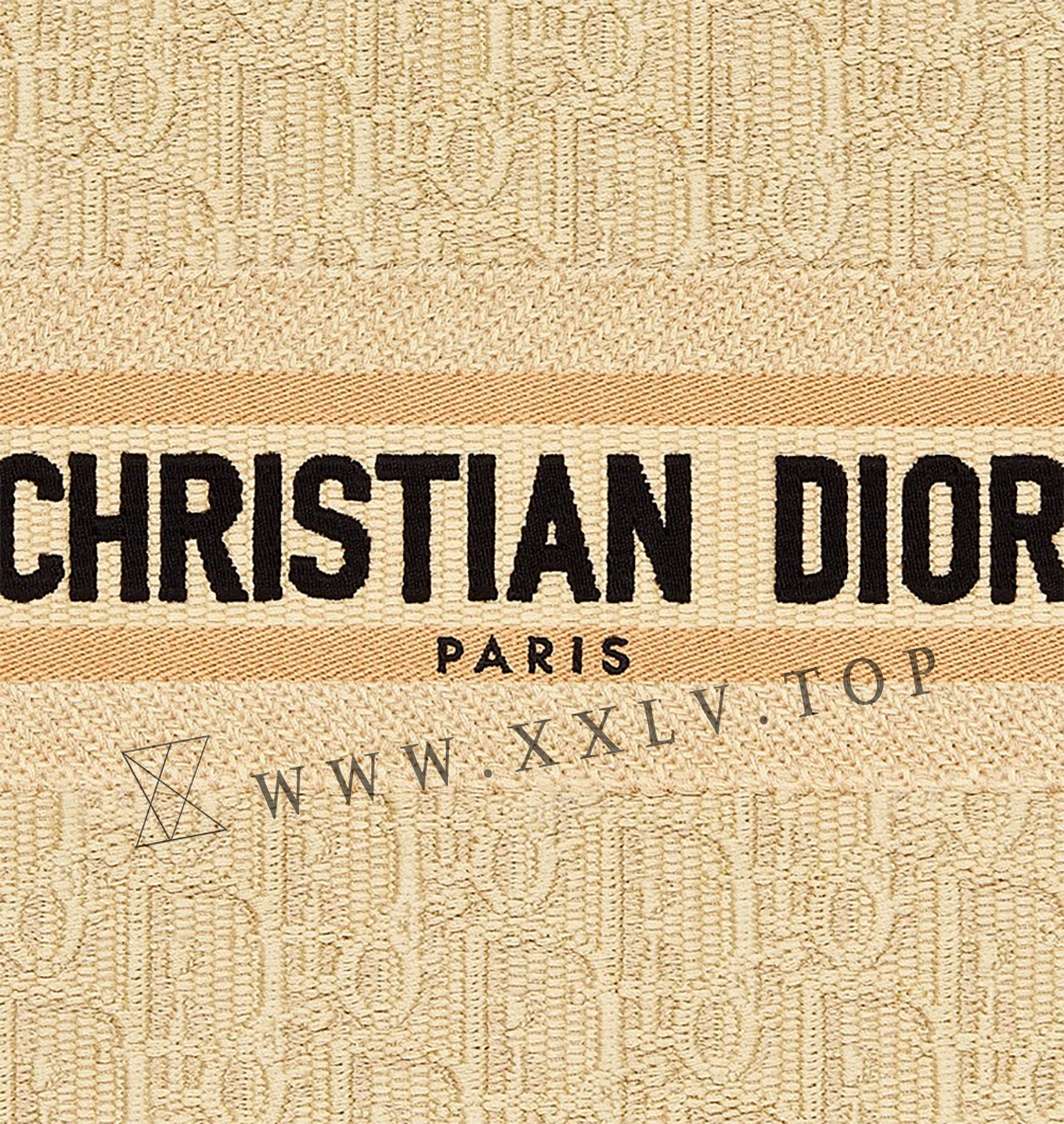 Small Dior Book Tote - Image 2