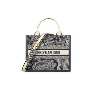 Small Dior Book Tote