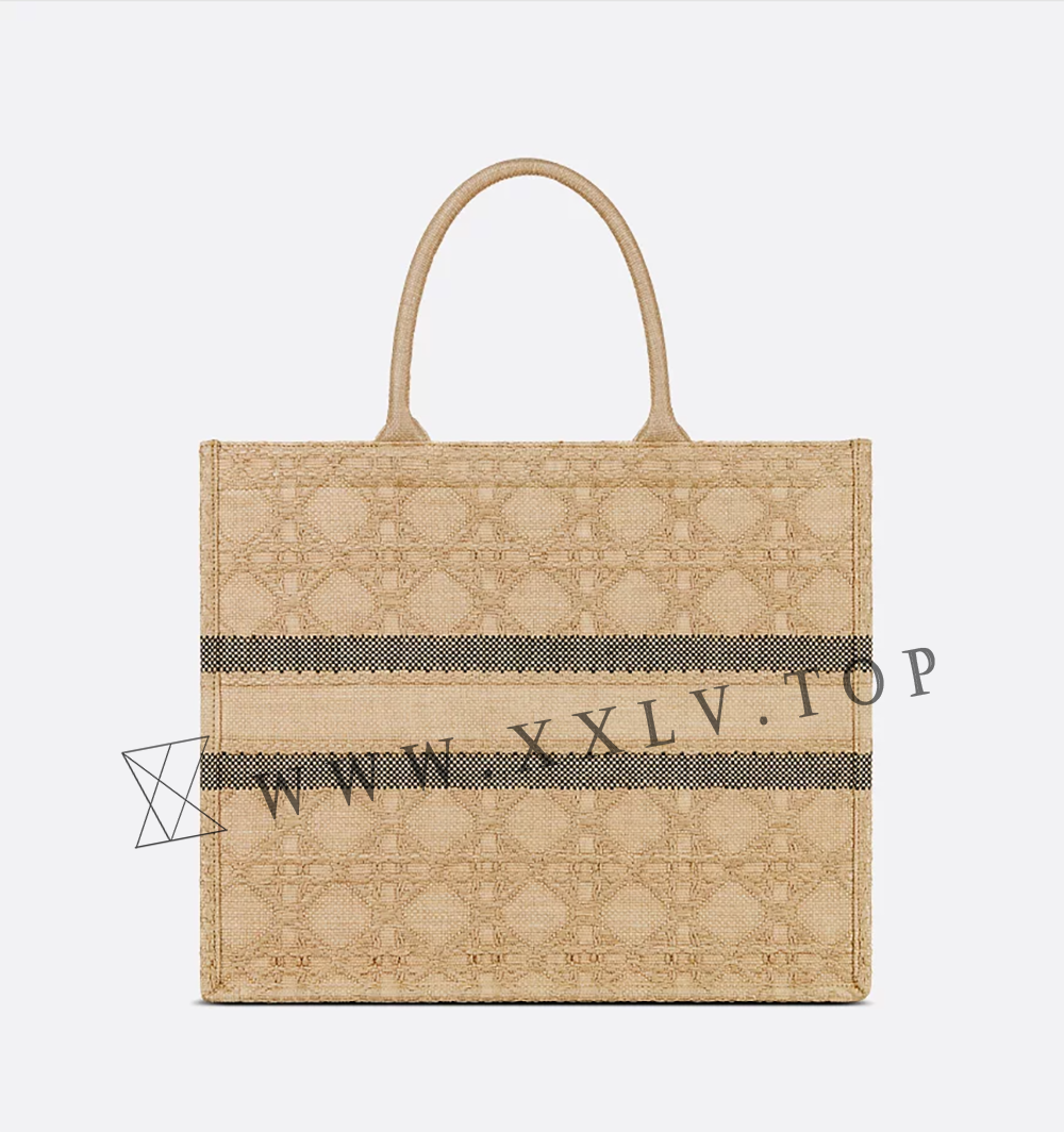 Large Dior Book Tote - Image 5