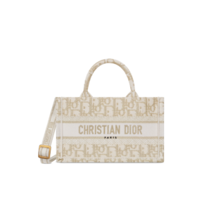 Mini Dior Book Tote
