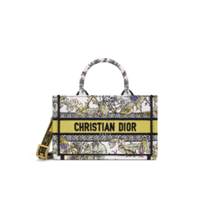 Mini Dior Book Tote