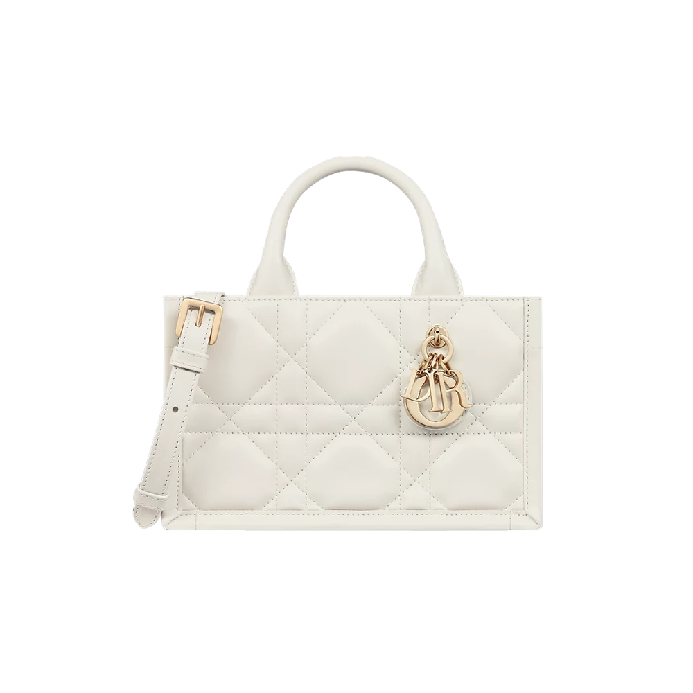 Mini Dior Book Tote