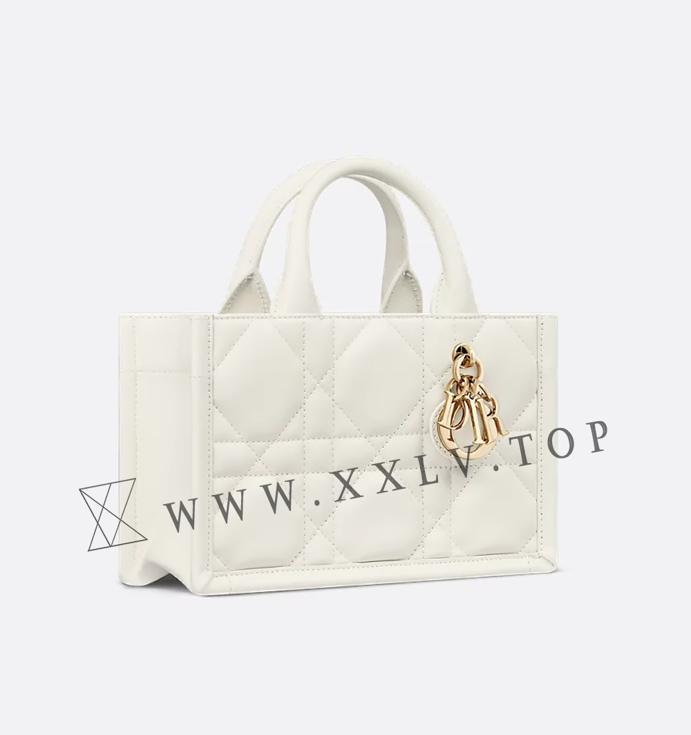 Mini Dior Book Tote - Image 6