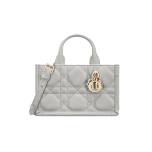 Mini Dior Book Tote