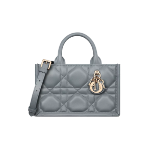 Mini Dior Book Tote