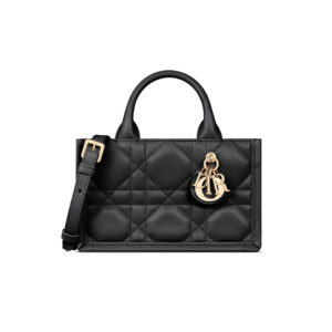 Mini Dior Book Tote