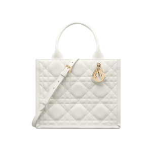 Small Dior Book Tote