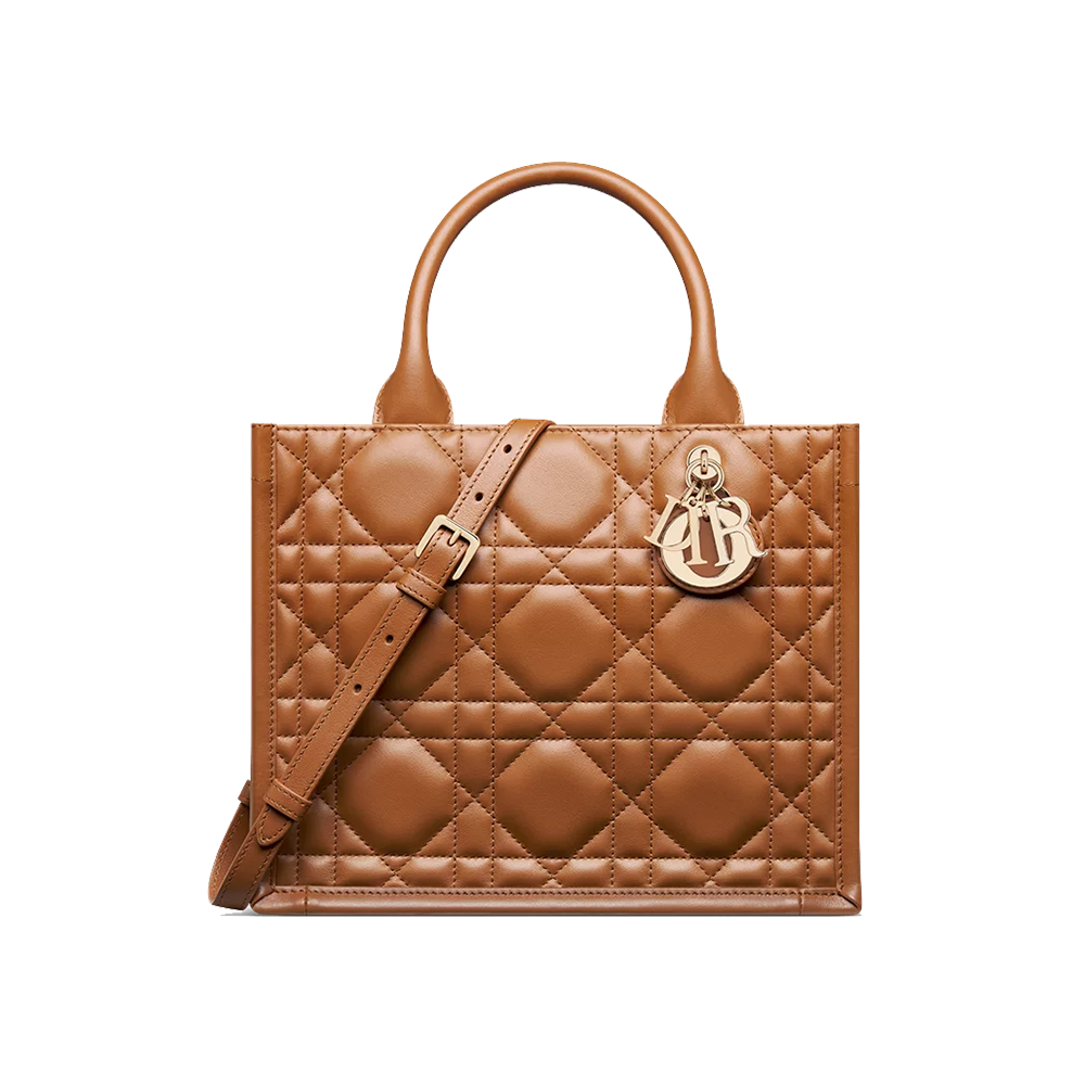 Small Dior Book Tote