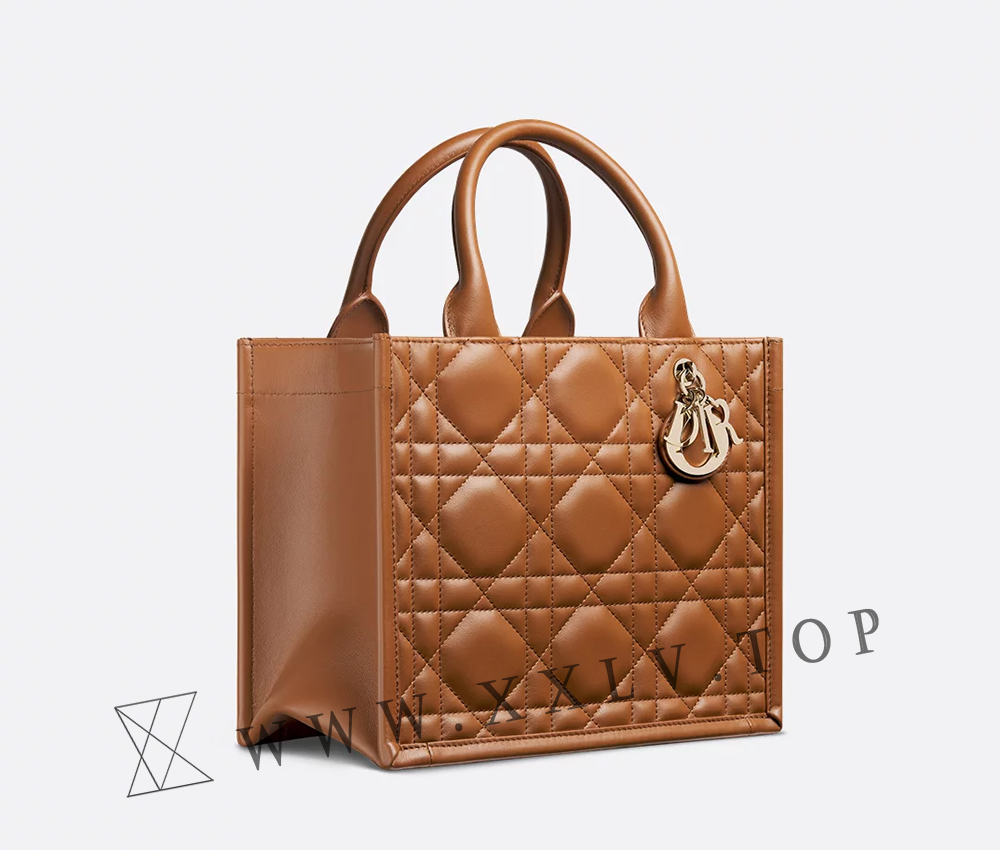 Small Dior Book Tote - Image 5