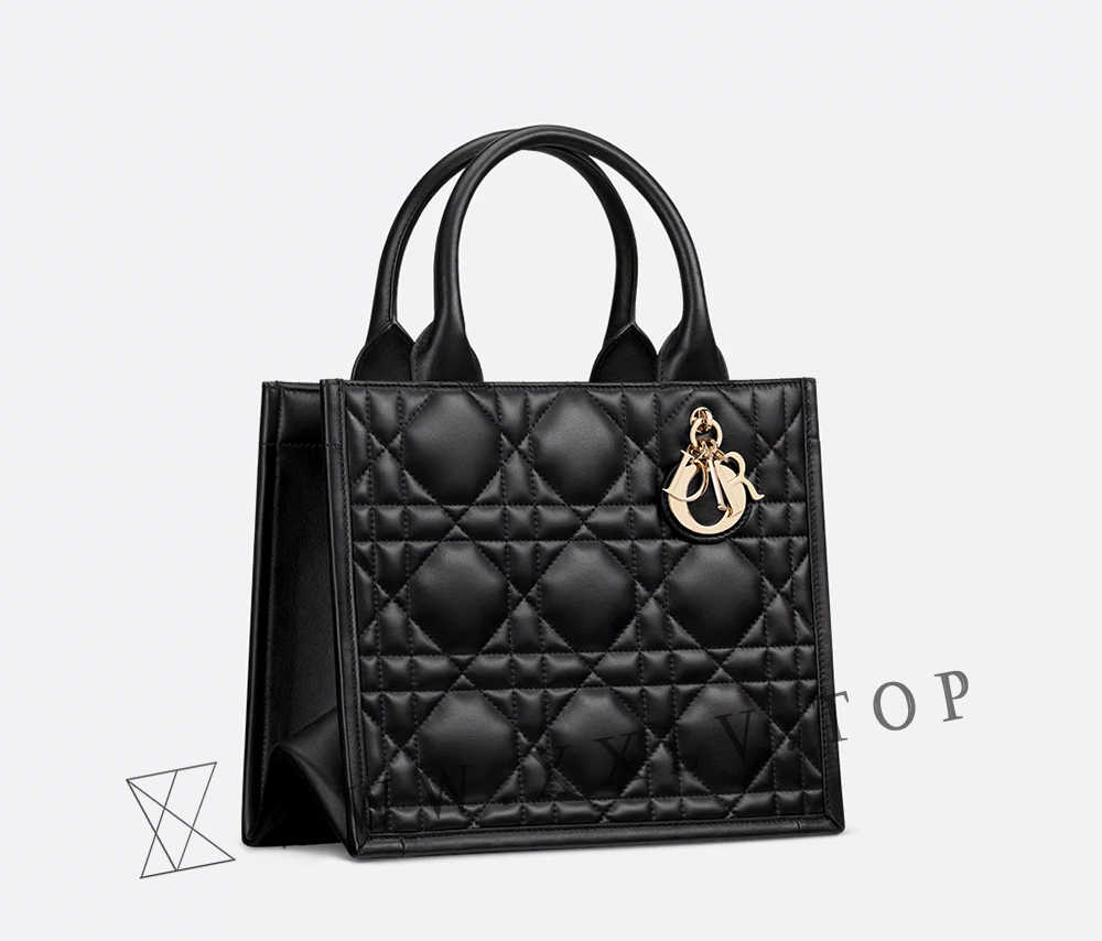Small Dior Book Tote - Image 5