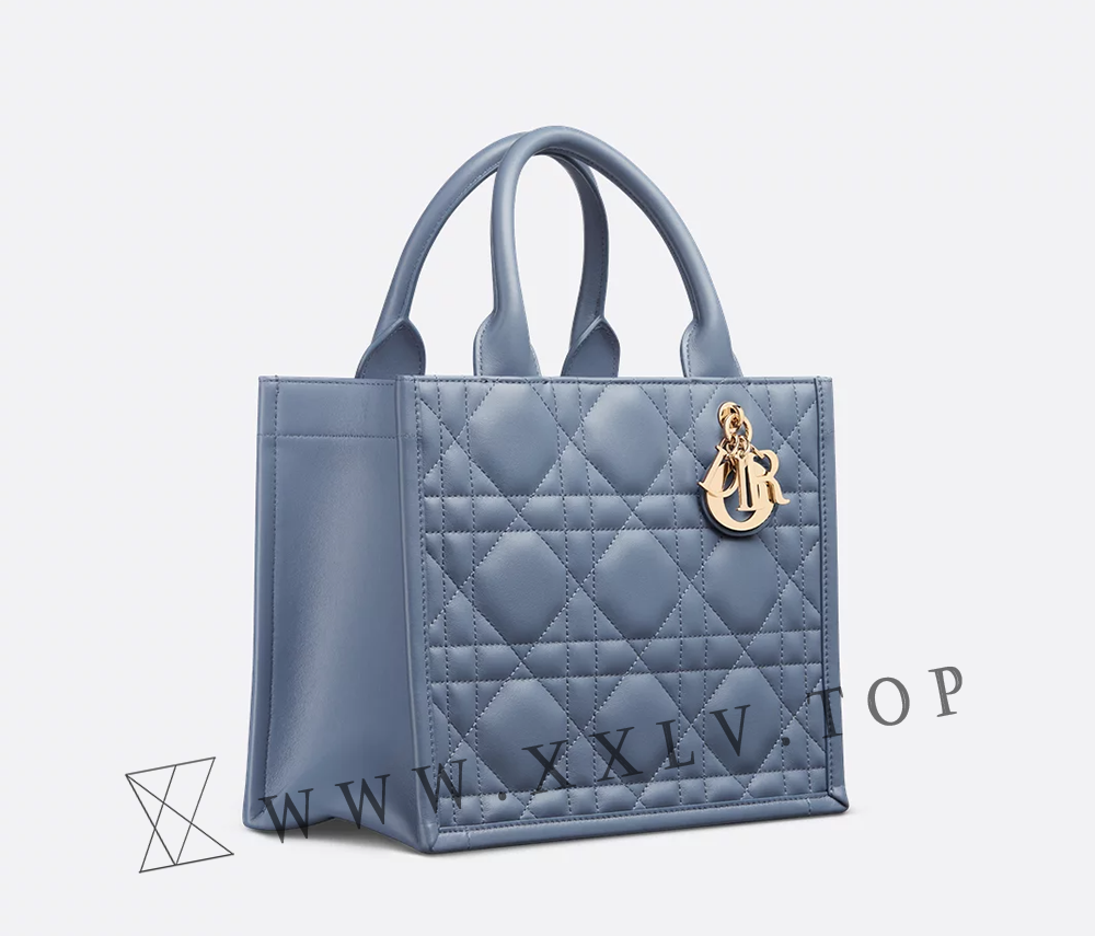 Small Dior Book Tote - Image 4