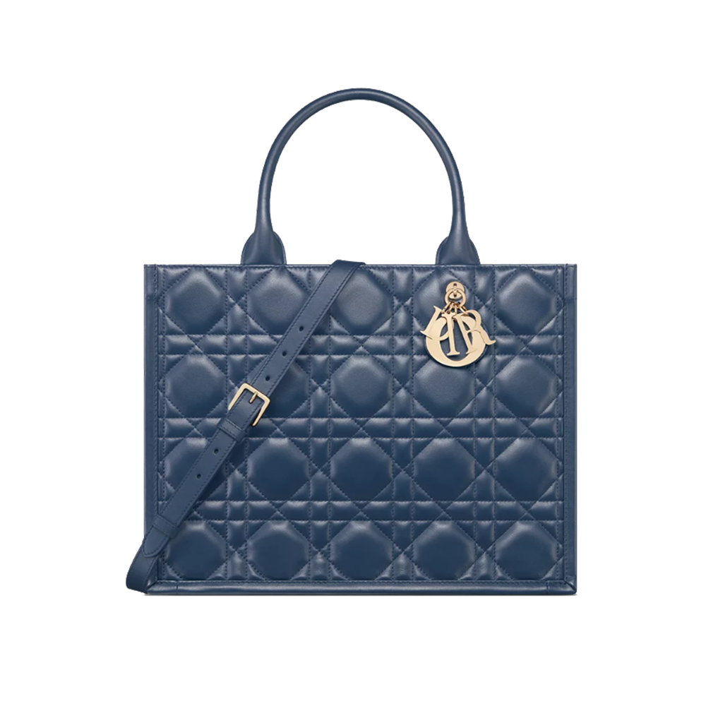 Medium Dior Book Tote
