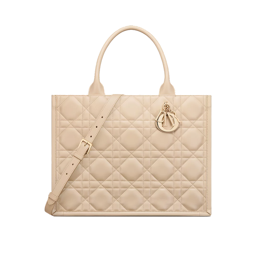 Medium Dior Book Tote
