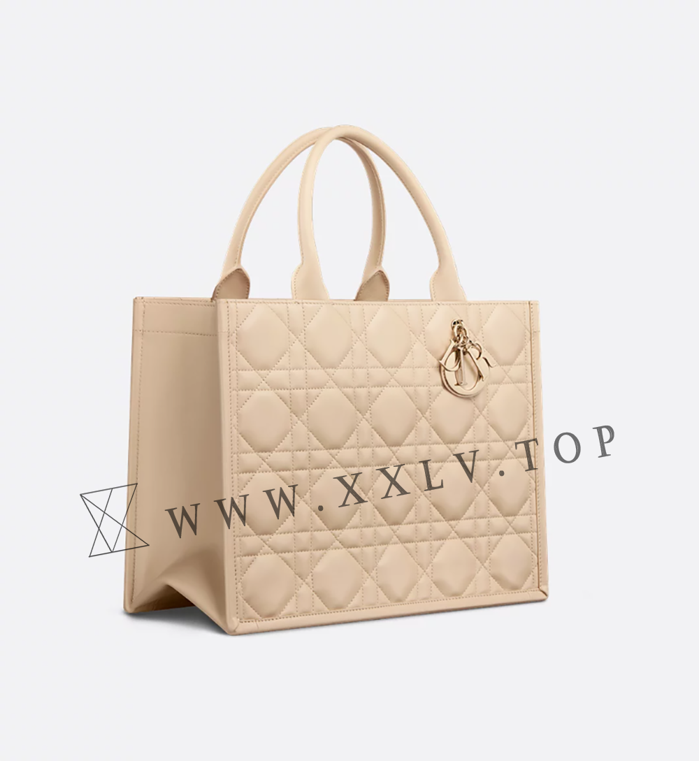 Medium Dior Book Tote - Image 5