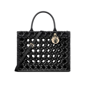 Medium Dior Book Tote