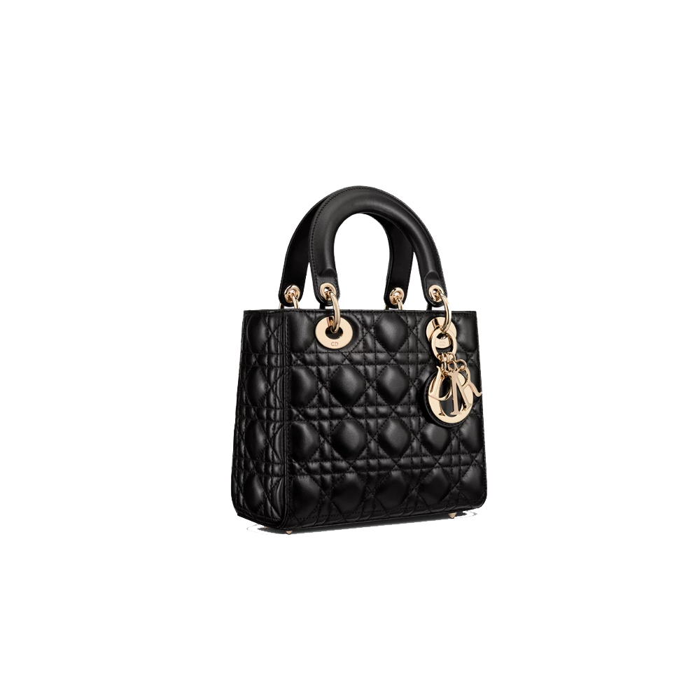 Small Lady Dior My ABCDior Bag