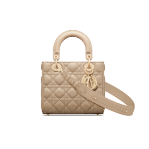 Small Lady Dior My ABCDior Bag