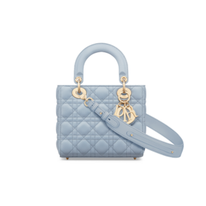 Small Lady Dior My ABCDior Bag