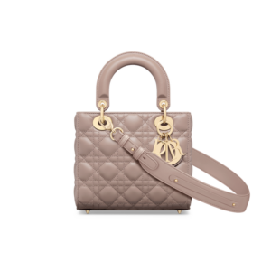 Small Lady Dior My ABCDior Bag