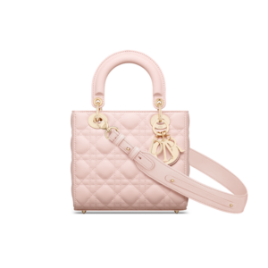 Small Lady Dior My ABCDior Bag