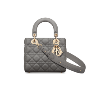Small Lady Dior My ABCDior Bag