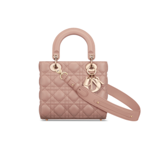 Small Lady Dior My ABCDior Bag