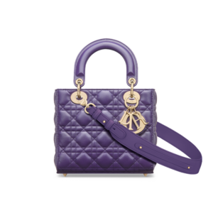 Small Lady Dior My ABCDior Bag