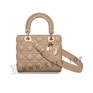 Small Lady Dior My ABCDior Bag
