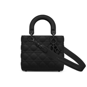 Small Lady Dior My ABCDior Bag