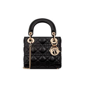 Mini Lady Dior Bag