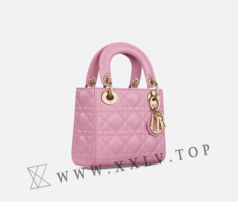 Mini Lady Dior Bag - Image 2