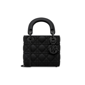 Mini Lady Dior Bag