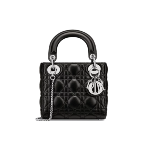 Mini Lady Dior Bag