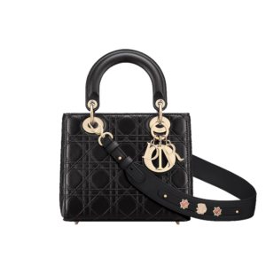 Small Lady Dior My ABCDior Bag