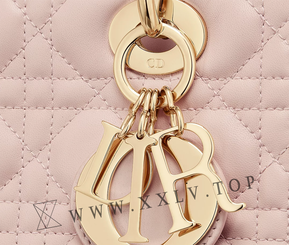 Medium Lady Dior Bag - Image 2