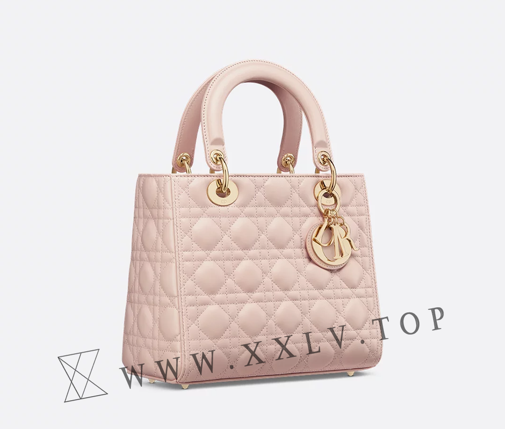 Medium Lady Dior Bag - Image 5