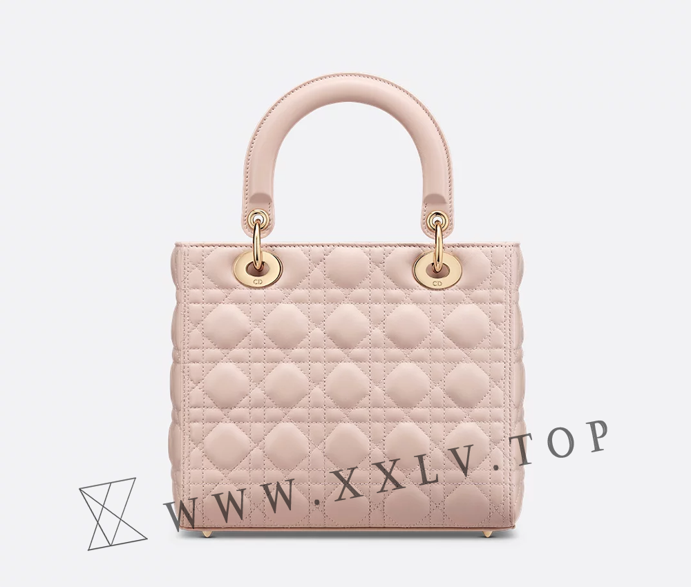 Medium Lady Dior Bag - Image 6