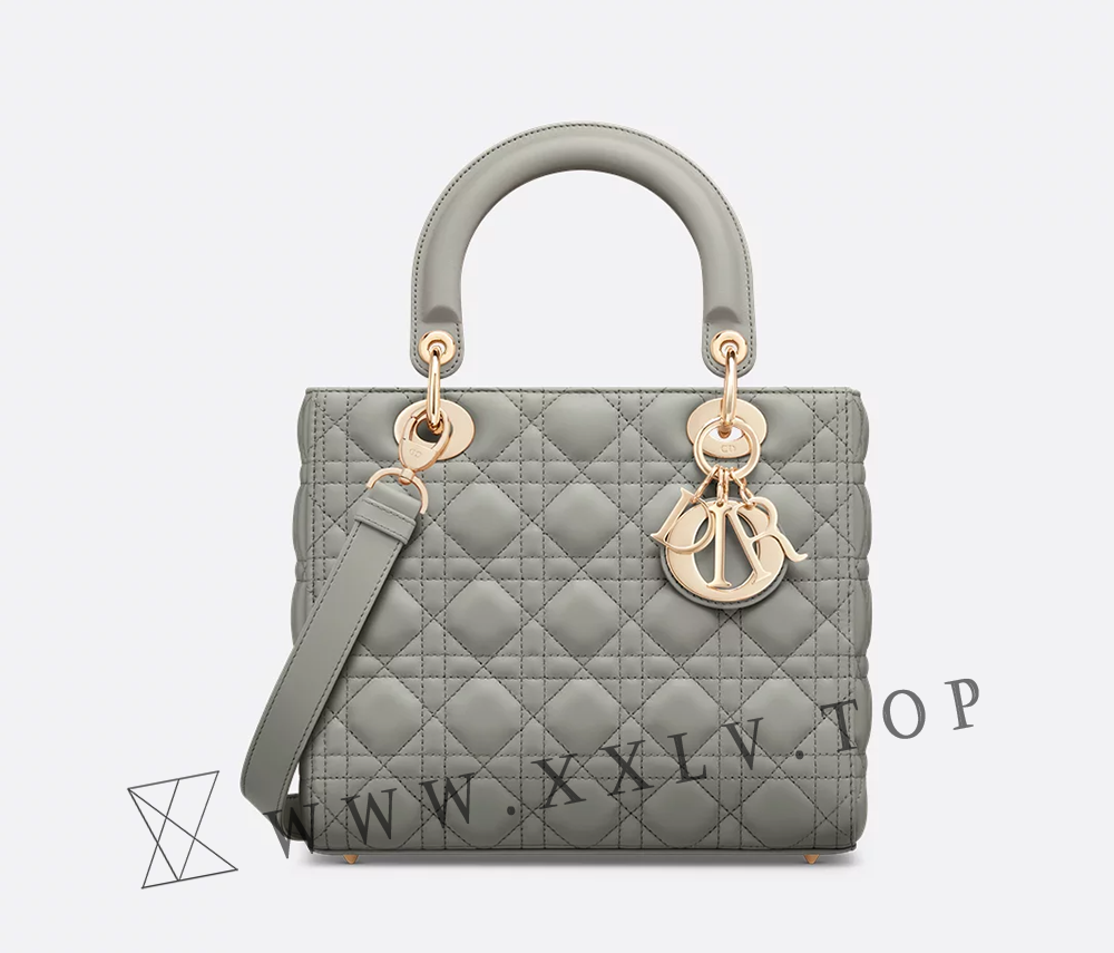 Medium Lady Dior Bag - Image 5