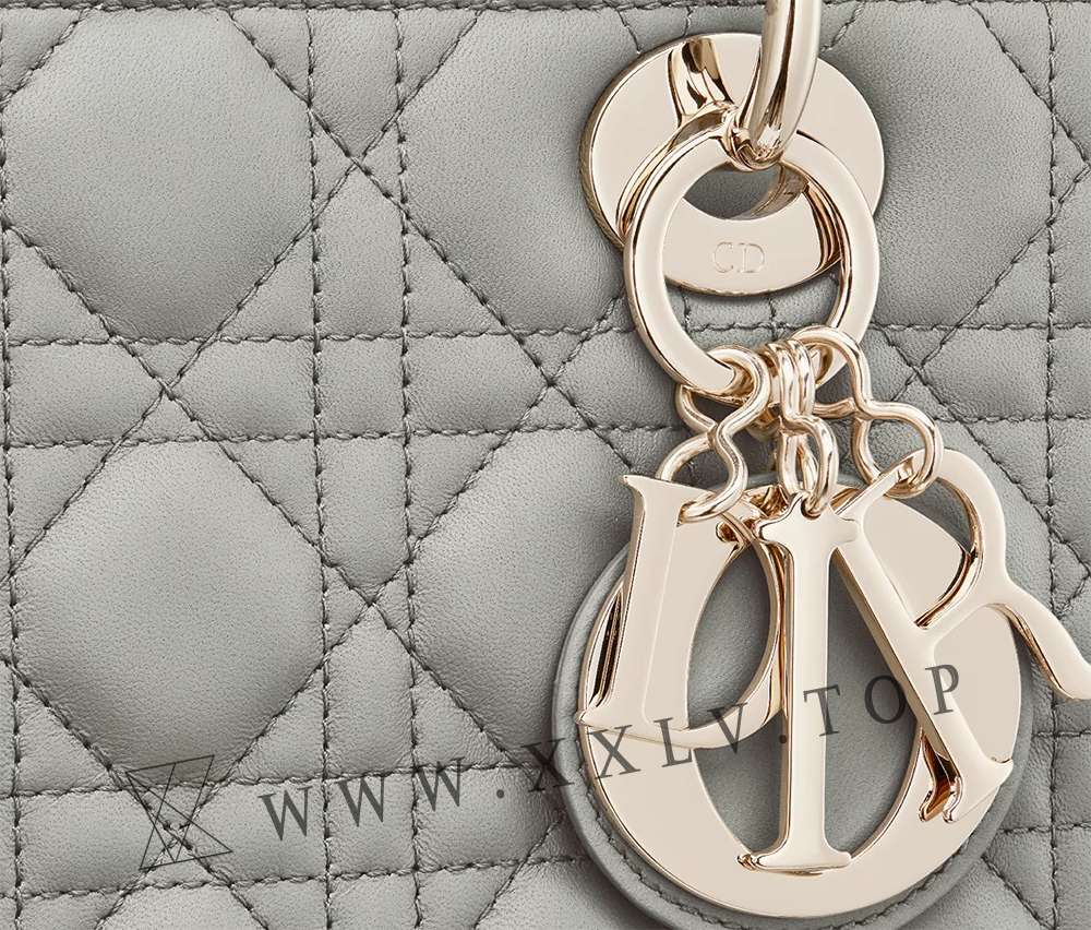 Medium Lady Dior Bag - Image 2