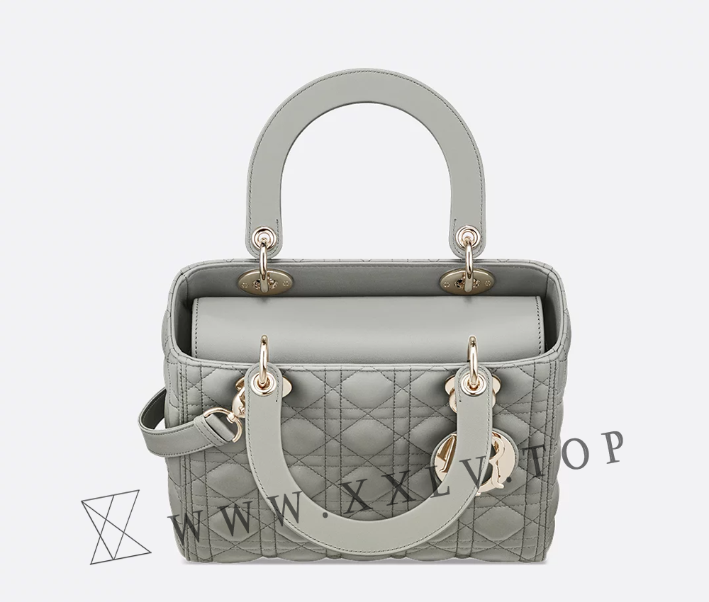 Medium Lady Dior Bag - Image 3