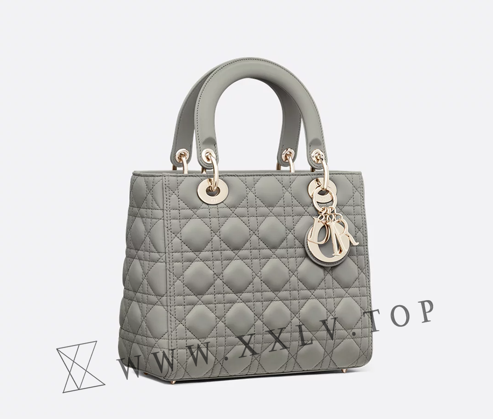 Medium Lady Dior Bag - Image 4